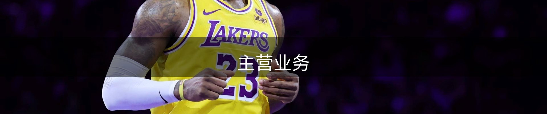 主营业务